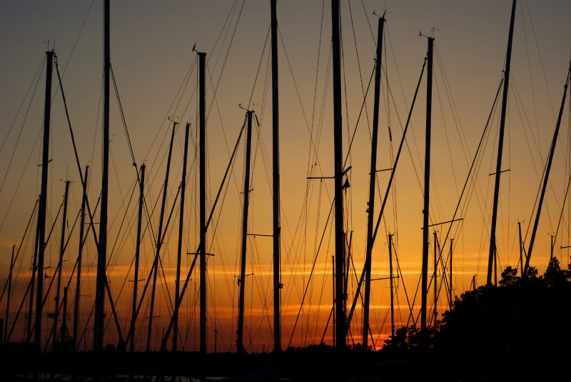 7 Mastot auringonlaskussa 2.jpg